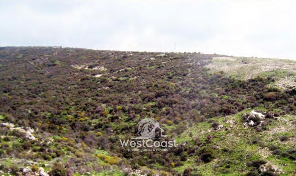 Agricultural Land For Sale  in  Pissouri